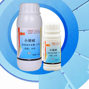 沃柑潰瘍病專用藥——潰腐靈 價格、廠家與產品詳解